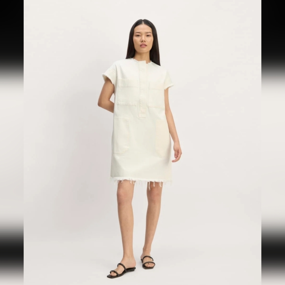 Everlane The Denim Workwear Shirtdress
